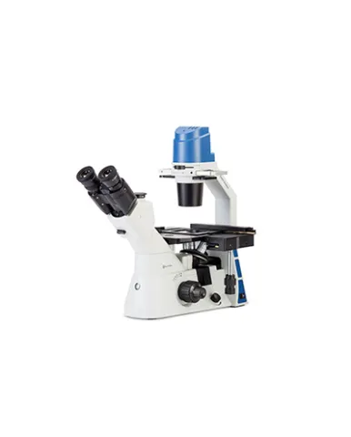 Microscope Laboratory Microscope - Euromex Ox‭ion Inverso 1 laboratory_microscope__euromex_oxion_inverso_ox