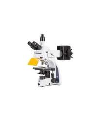 Microscope Laboratory Microscope  Euromex iScope